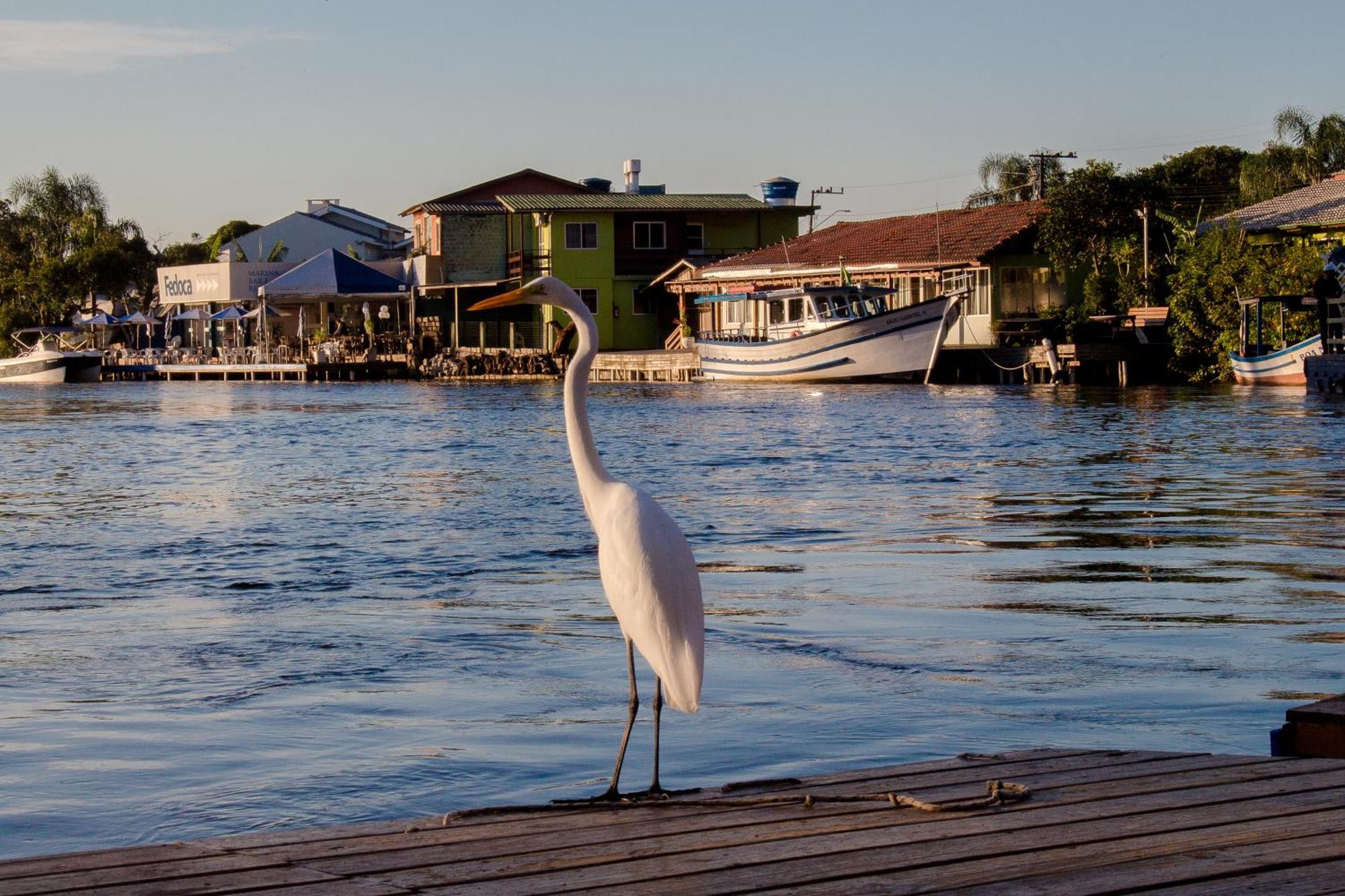 Pousada Quinta Da Margem Florianópolis 외부 사진